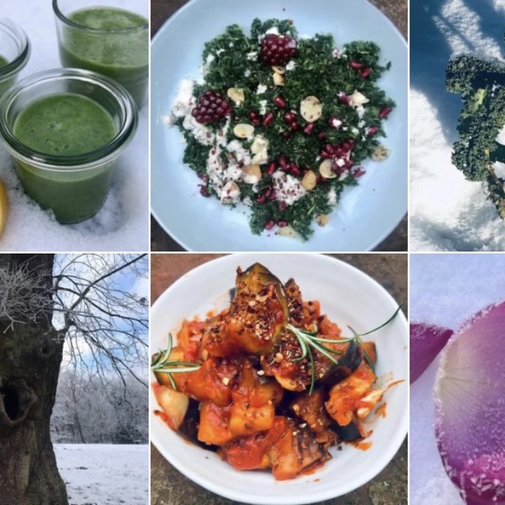 31. Januar – 20. Februar 2022 // Online-Workshop “ Vegane Winterküche“